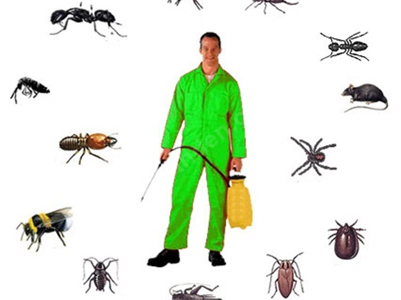 Yayladere Böcek İlaçlama