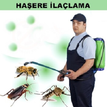 Yayladere Böcek İlaçlama
